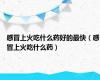 感冒上火吃什么药好的最快（感冒上火吃什么药）