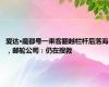 爱达·魔都号一乘客翻越栏杆后落海，邮轮公司：仍在搜救