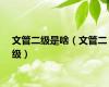 文管二级是啥（文管二级）