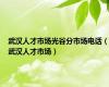 武汉人才市场光谷分市场电话（武汉人才市场）