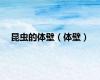 昆虫的体壁（体壁）