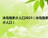 冰岛有多少人口2023（冰岛有多少人口）