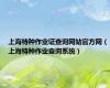 上海特种作业证查询网站官方网（上海特种作业查询系统）