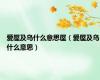 爱屋及乌什么意思屋（爱屋及乌什么意思）