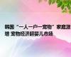 韩国“一人一户一宠物”家庭激增 宠物经济超婴儿市场