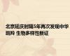北京延庆时隔5年再次发现中华斑羚 生物多样性新证