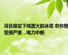 河北保定下鸡蛋大的冰雹 农作物受损严重，电力中断