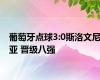 葡萄牙点球3:0斯洛文尼亚 晋级八强