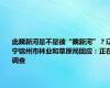 此魏新河是不是彼“魏新河”？辽宁锦州市林业和草原局回应：正在调查