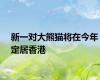 新一对大熊猫将在今年定居香港