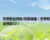 世界职业摔跤:终极碰撞（世界职业摔跤12）