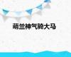 萌兰神气骑大马