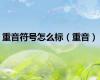 重音符号怎么标（重音）