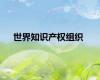 世界知识产权组织