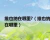 维也纳在哪里?（维也纳在哪里）