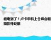 被电到了！卢卡申科上合峰会朝摄影师眨眼