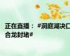 正在直播： #洞庭湖决口合龙封堵#