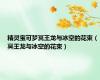 精灵宝可梦冥王龙与冰空的花束（冥王龙与冰空的花束）