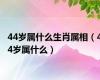 44岁属什么生肖属相（44岁属什么）