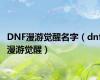 DNF漫游觉醒名字（dnf漫游觉醒）