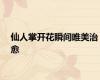 仙人掌开花瞬间唯美治愈