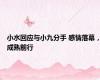 小水回应与小九分手 感情落幕，成熟前行