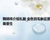 鞠婧祎介绍礼服 金色羽毛象征涅槃重生