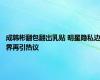 成韩彬翻包翻出乳贴 明星隐私边界再引热议