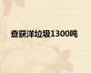 查获洋垃圾1300吨
