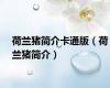 荷兰猪简介卡通版（荷兰猪简介）
