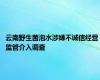 云南野生菌泡水涉嫌不诚信经营 监管介入调查