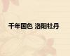 千年国色 洛阳牡丹