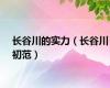 长谷川的实力（长谷川初范）