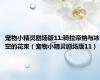 宠物小精灵剧场版11:骑拉帝纳与冰空的花束（宠物小精灵剧场版11）