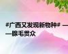 #广西又发现新物种# ——腺毛贯众
