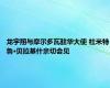 龙宇翔与摩尔多瓦驻华大使 杜米特鲁·贝拉基什亲切会见