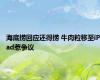 海底捞回应还得捞 牛肉粒移至iPad惹争议
