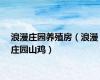 浪漫庄园养殖房（浪漫庄园山鸡）