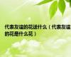 代表友谊的花送什么（代表友谊的花是什么花）