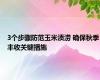 3个步骤防范玉米渍涝 确保秋季丰收关键措施