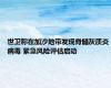 世卫称在加沙地带发现脊髓灰质炎病毒 紧急风险评估启动