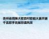 贵州省侗族大歌百村歌唱大赛开赛 千名歌手竞展非遗风采