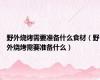 野外烧烤需要准备什么食材（野外烧烤需要准备什么）