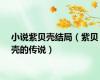 小说紫贝壳结局（紫贝壳的传说）
