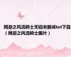 网游之风流骑士无错未删减txt下载（网游之风流骑士图片）