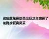 这些属龙运动员出征龙年奥运了 龙腾虎跃竞风采