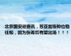 北京国安迎喜讯，苏亚雷斯帅位稳住啦，因为张希哲有望出场！！！