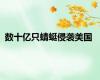 数十亿只蜻蜓侵袭美国