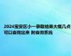 2024宝安区小一录取结果大概几点可以查询出来 附查询系统
