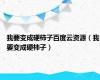 我要变成硬柿子百度云资源（我要变成硬柿子）